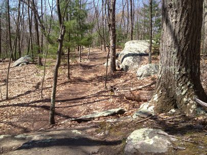 Wolf Hill Forest Preserve Trail Map Join Us On A Hike Of Wolf Hill Forest Preserve In Smithfield! -  Woonasquatucket River Watershed Council